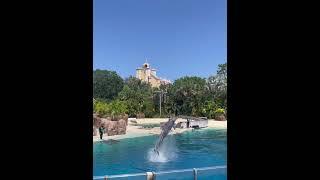 Seaworld