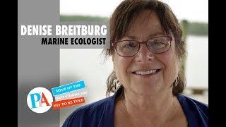 Denise Breitburg | American Marine Ecologist