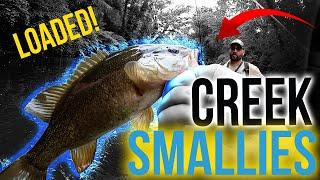 Fishing a Creek LOADED with Smallmouth Bass! - Cuyahoga River Ohio