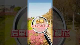 位於后里區的「中科崴立櫻花公園」，是台中免費賞櫻的絕佳景點，園內擁有一條長達百米的櫻花步道，種植了多種櫻花其中以八重櫻為主。每年2月至3月初，櫻花依序綻放，形成桃紅粉紅、白色的繽紛花海。