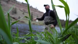 ORVIS - Silver Sonic Waders