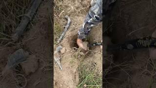 Это просто П… #metaldetector #коп #металлоискатель #находки #minelab #поискмонет #шурф #war #coin 