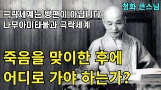 인간은 죽은 후에 어디로 가야하는가? 나무아미타불과 극락세계 | 극락세계는 방편이 아닙니다 |청화스님 법문