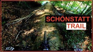 Schönstatt Trail 2023 | Alexander Schuster | Husqvarna HC2