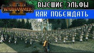  Высшие Эльфы Как побеждать за них в Total War Warhammer 2 перевод на русский