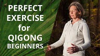 The Perfect Qigong Exercise For Beginners