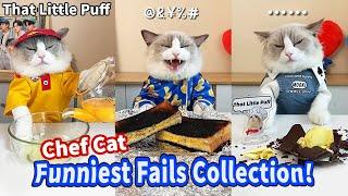 Funniest Fails Collection! | That Little Puff