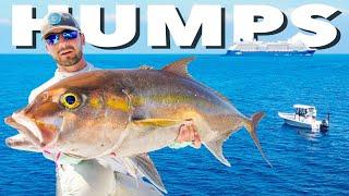 2 Days at One of Florida's BEST Fishing Spots (Marathon Humps)