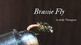 How to Tie the Brassie Fly Pattern