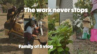 Finally Upgrading Our Landscape | New Plants + New Deck | Weekly Vlog