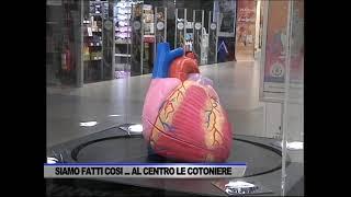 “ESPLORANDO IL CORPO UMANO” AL CENTRO COMMERCIALE “LE COTONIERE” - SERVIZIO TG DEL 11/10/2024