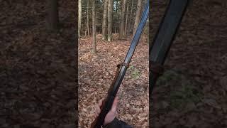 We go 1/2 with muzzleloaders! #maine #muzzleloader #hunting #shorts