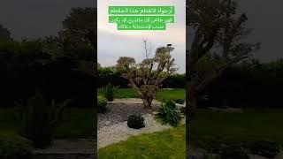 أيها الاخيار لاتنسوا الصلاة والتسليم على رسول الله فهي مفتاح  كل خير في الدنيا والآخرة