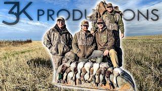 NORTH DAKOTA DUCK HUNTING | FIRST DRY FIELD DUCKS