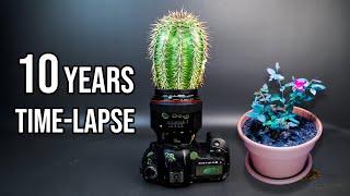 Amazing 10 Years of Plant Growing Time-lapse Compilation