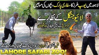 Exploring Lahore Safari Zoo | Live Zoo Like Europe | Amazing Place For Picnic | Discover Pakistan