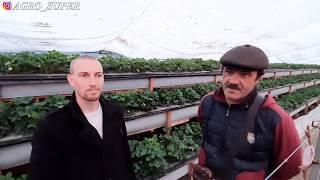 Михаил Острохишко официально прекратил сравнение и перешёл на систему Супер-Агро