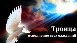 Проповедь на праздник Троица. Д. В. Самарин. МСЦ ЕХБ