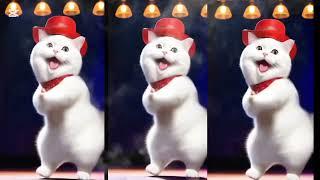 Cat videos funny dance Videos for catsv#funnycats #dancingcat #catlovers #trending