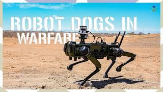 Robot Dogs Are Entering the Battlefield: Here's What We Know