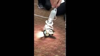 Students demonstrate the Roly Poly Bot