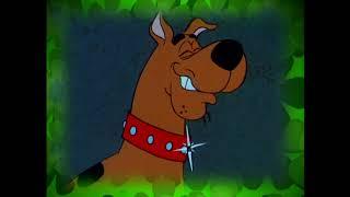 Scooby-Doo, Where Are You! (1969-1970): Seasons 1&2 DVD Promo - 2004 (2K)