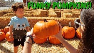 FUNKY PUMPKINS!