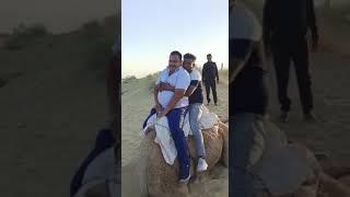 A man on camel fell down || #funny video#viglant #viralvideo #youtuber #youtube #short || viglant