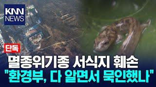 멸종위기종 서식지 공사, 침묵한 환경부·공사 강행 LH / KNN