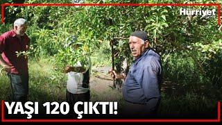 50 Yıl Sonra Meyve Verdi! Görenler Şaştı Kaldı