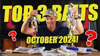 Top 3 October Baits For Big Bass!