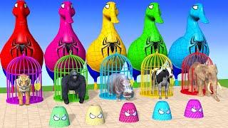 Long Slide Game With Cow Elephant Gorilla Hippopotamus Tiger - 3d Animal Game - Funny 3d Animals