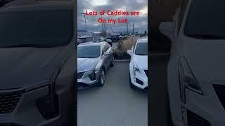 Beautiful Cadillacs