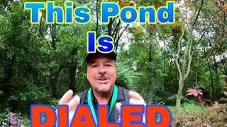 Amazing INSPIRATIONAL Pond | Underwater KOI Camera Videos