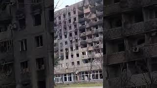Новая Россия 2022 ноябрь Марик