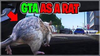 I Pretended To Be a Rat NPC Infiltrating Gangs On GTA RP