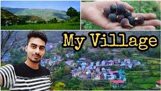 My Village (Near Arki,Solan) || Chandan Thakur || Vlog 4