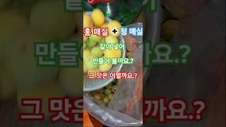 홍 매실 청 매실 같이 넣으면 그 맛은 더 좋아 집니다.^^