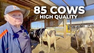 85 COWS PRODUCING HIGH-QUALITY MILK WITH PRECISION NUTRITION - ILLINOIS, USA 