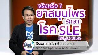 ชัวร์ก่อนแชร์ : สมุนไพรรักษาโรค SLE หรือโรคแพ้ภูมิตนเองได้ จริงหรือ ?