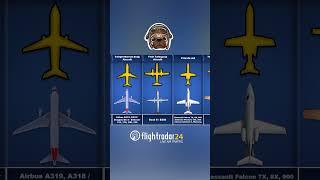 Most Don't Know what these 28 Flightradar24 Aircraft icons Mean! #aviationlovers