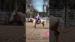 ￼TEACHING the SLIDE STOP #starting w/ #whoa #horse #training #tips #reining #shorts #horsevideo #fyp