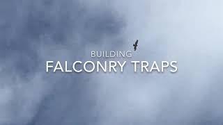 Building Falconry Traps