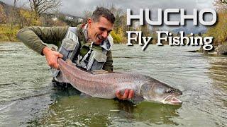 Hucho Fly Fishing | A big hucho on first cast | Time to celebrate 