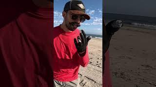 I found super useful things on the beach with a sieve