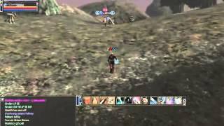 dvp   Lineage II   CritDmgSA Good