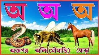 Bengali Alphabet | অ আ ই ঈ উ ঊ ঋ এ ঐ ও ঔ | Bangla Bornomala |Cartoon video