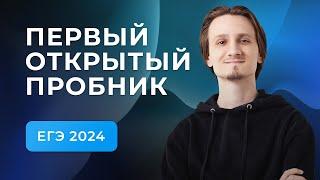 РЕШИ МОЙ ПРОБНИК УРОВНЯ ЕГЭ, ПОКАЖИ СИЛУ // Информатика ЕГЭ 2024