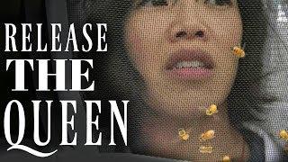 Releasing My Queen from her Push-In Cage | S3 E8