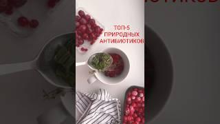 Топ-5 природных антибиотиков #здоровье #пп #he #health #healthy #народнаямедицина #антибиотик